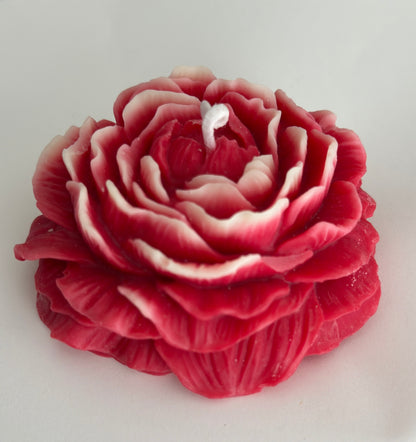 Peony Candle